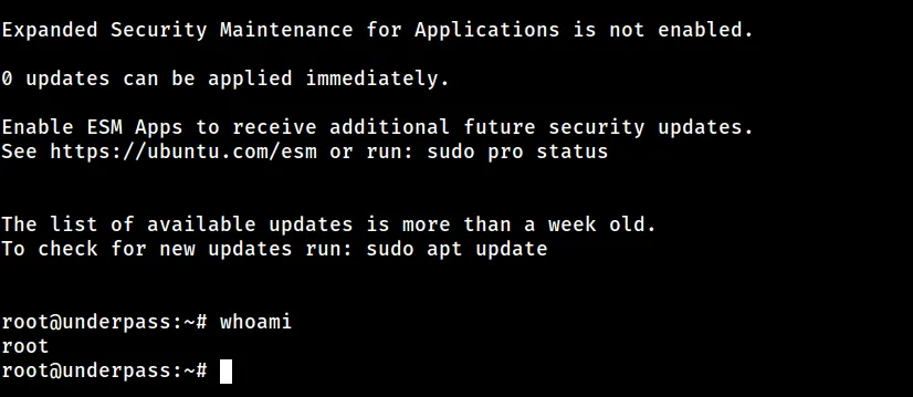 Terminal: whoami returns root on underpass — root shell obtained