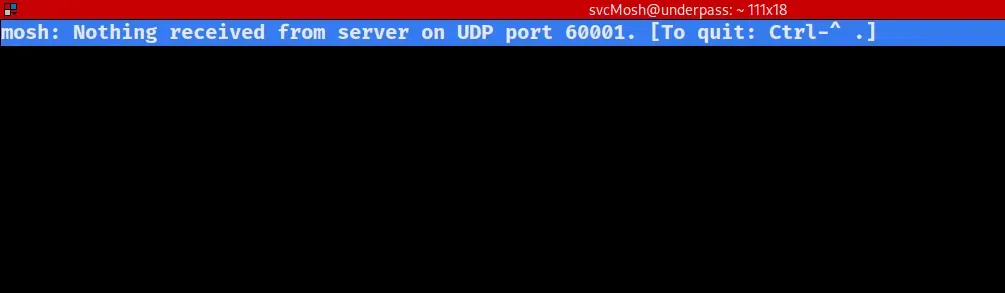 mosh client error “Nothing received from server on UDP port 60001” for svcMosh@underpass
